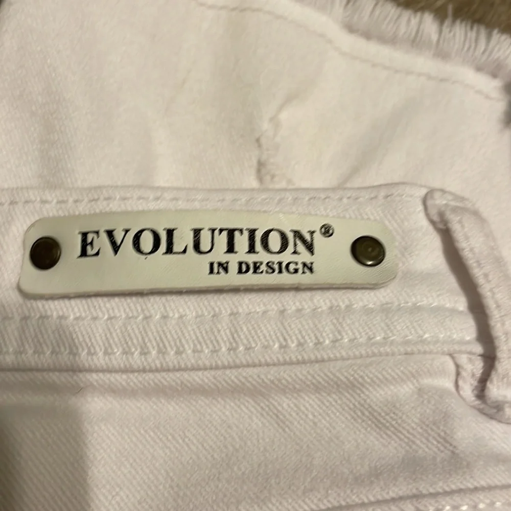 Evolution in Design - Picture 4 of 8